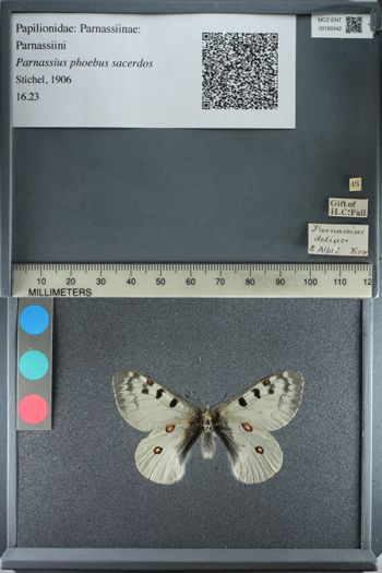 Media type: image;   Entomology 180542